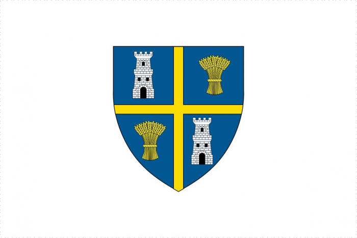 Steag 110g/mp Print Digital