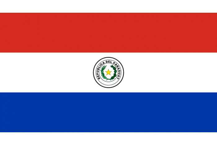 Steag Paraguay
