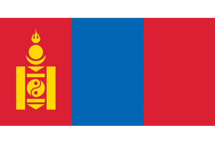 Steag Mongolia