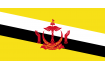 Steag Brunei