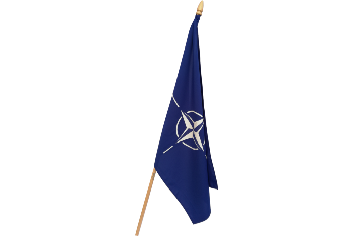 Steag NATO 135x90cm cu Lance LEMN